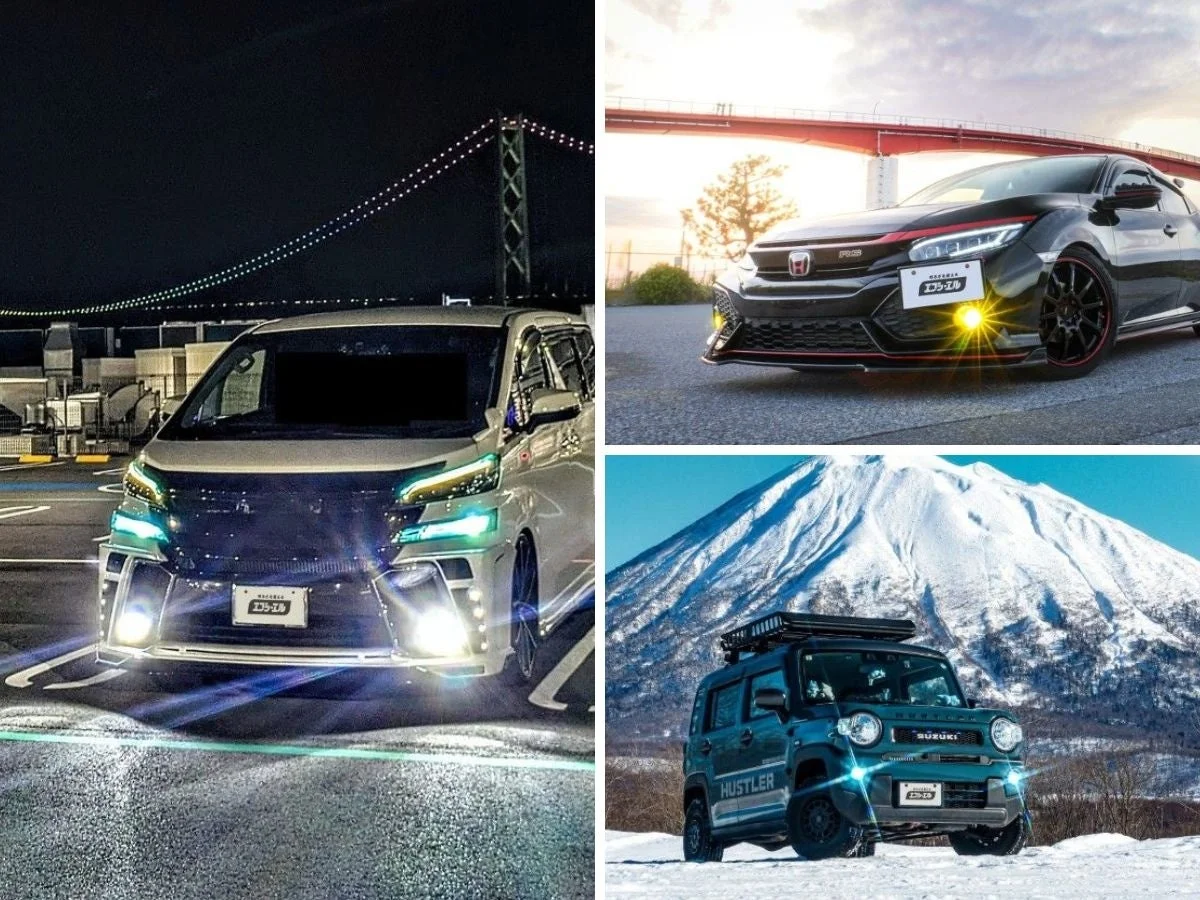 fcl.の「信頼光」