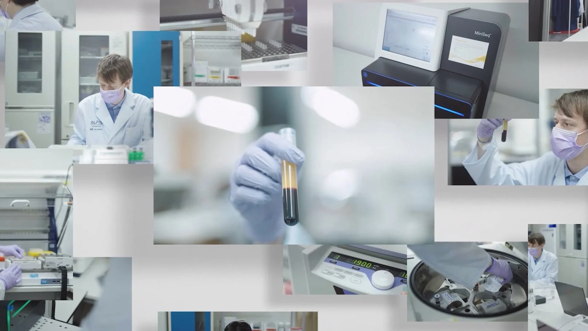 研究室での遺伝子解析の様子