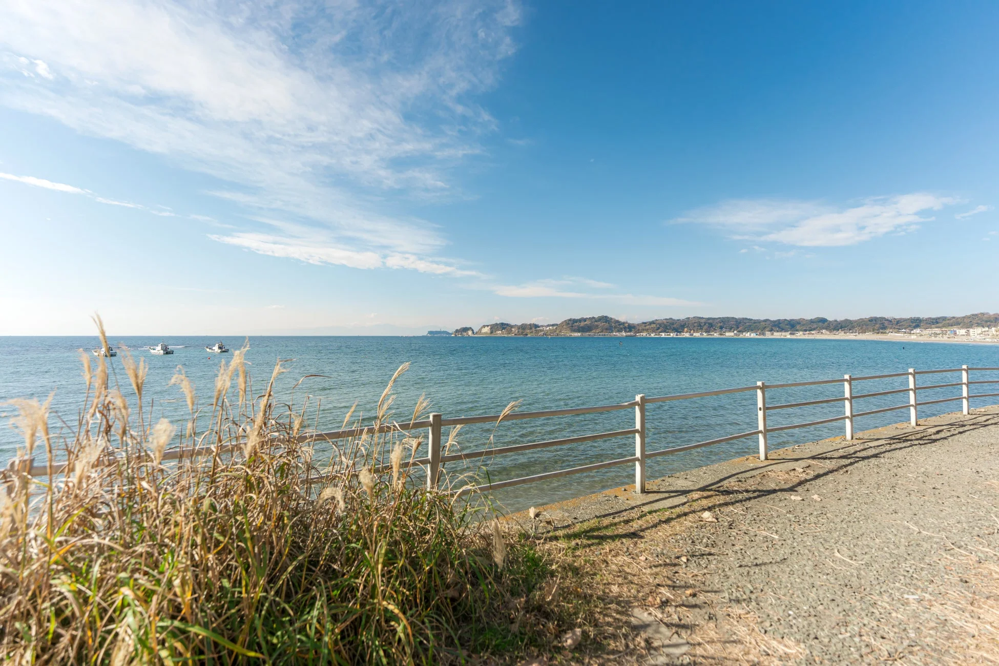 穏やかな青い海が広がる海岸線の風景