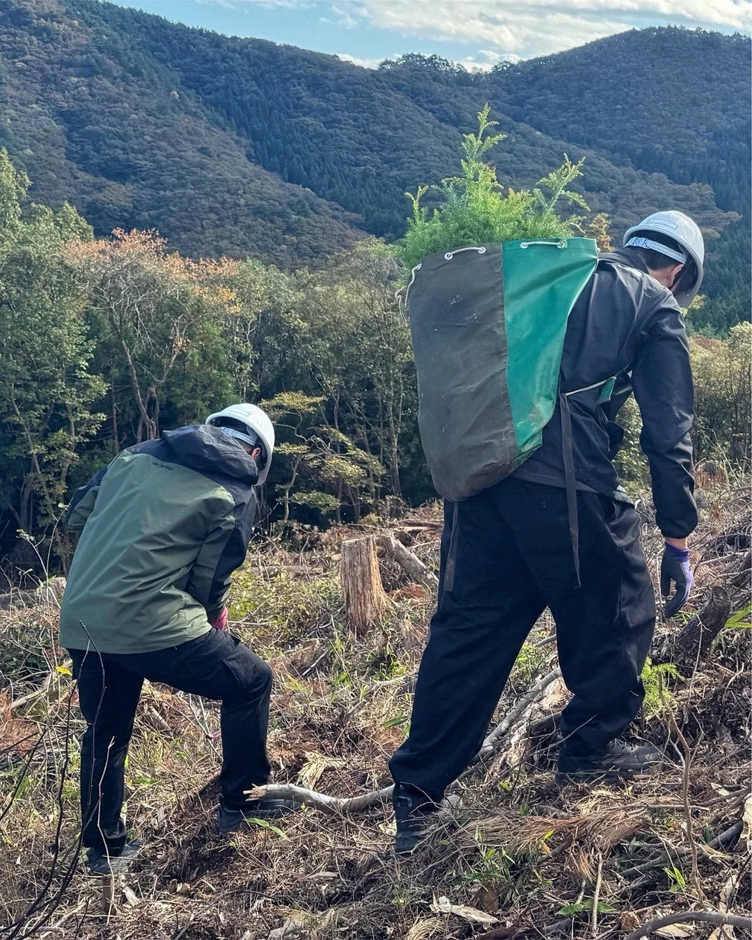 苗木を運ぶ人々