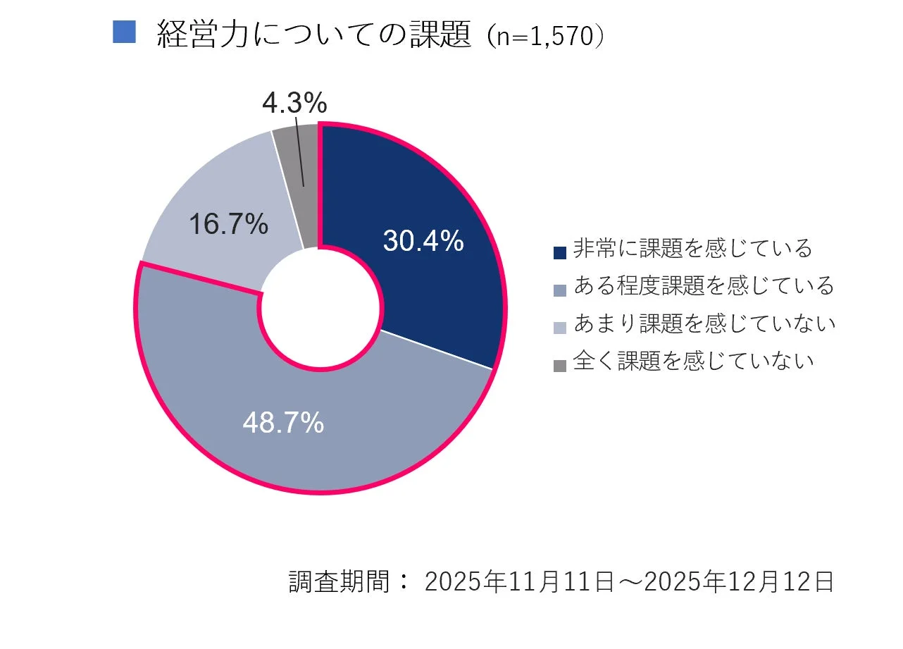経営力についての課題のグラフ