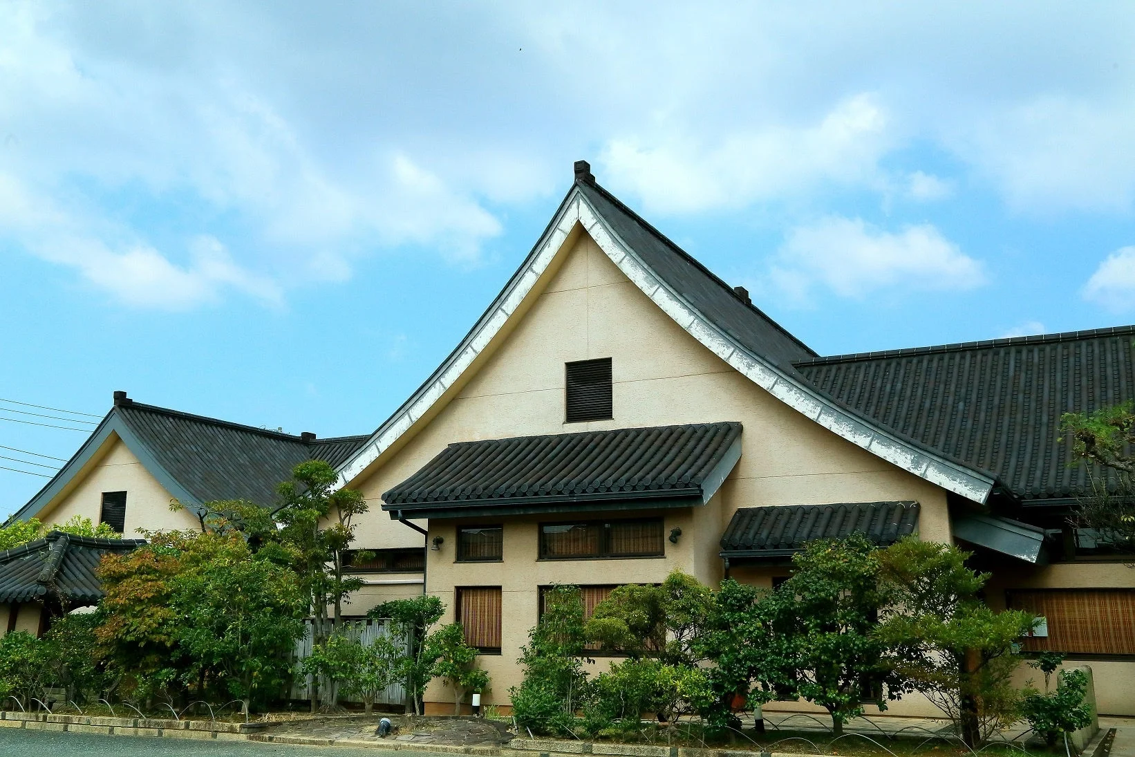 チャイナ梅の花 外観