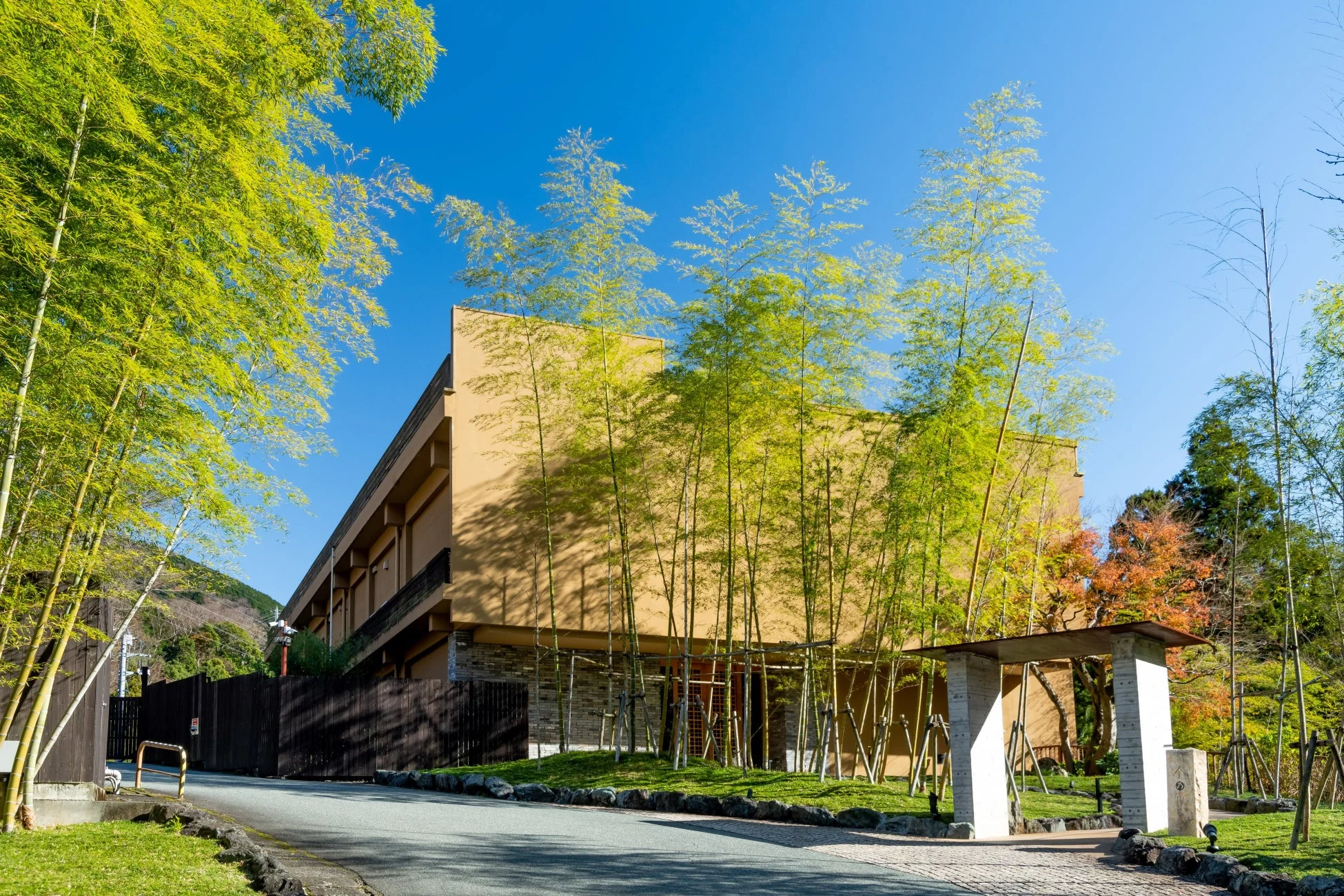 鮮やかな緑の竹林に囲まれた、モダンなデザインの建物