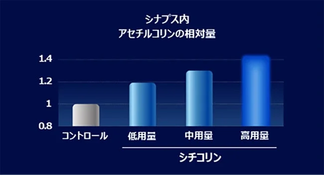 シナプス内アセチルコリンの相対量