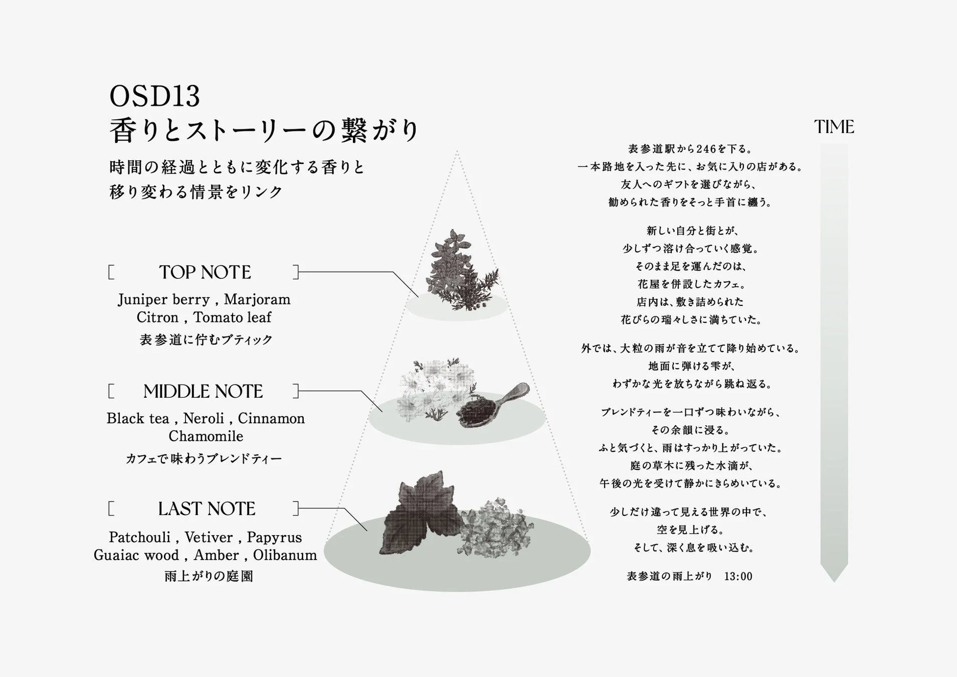 OSD13 香りストーリー