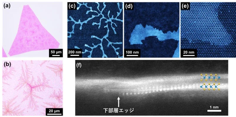 様々なスケールで材料の微細構造を示す顕微鏡画像