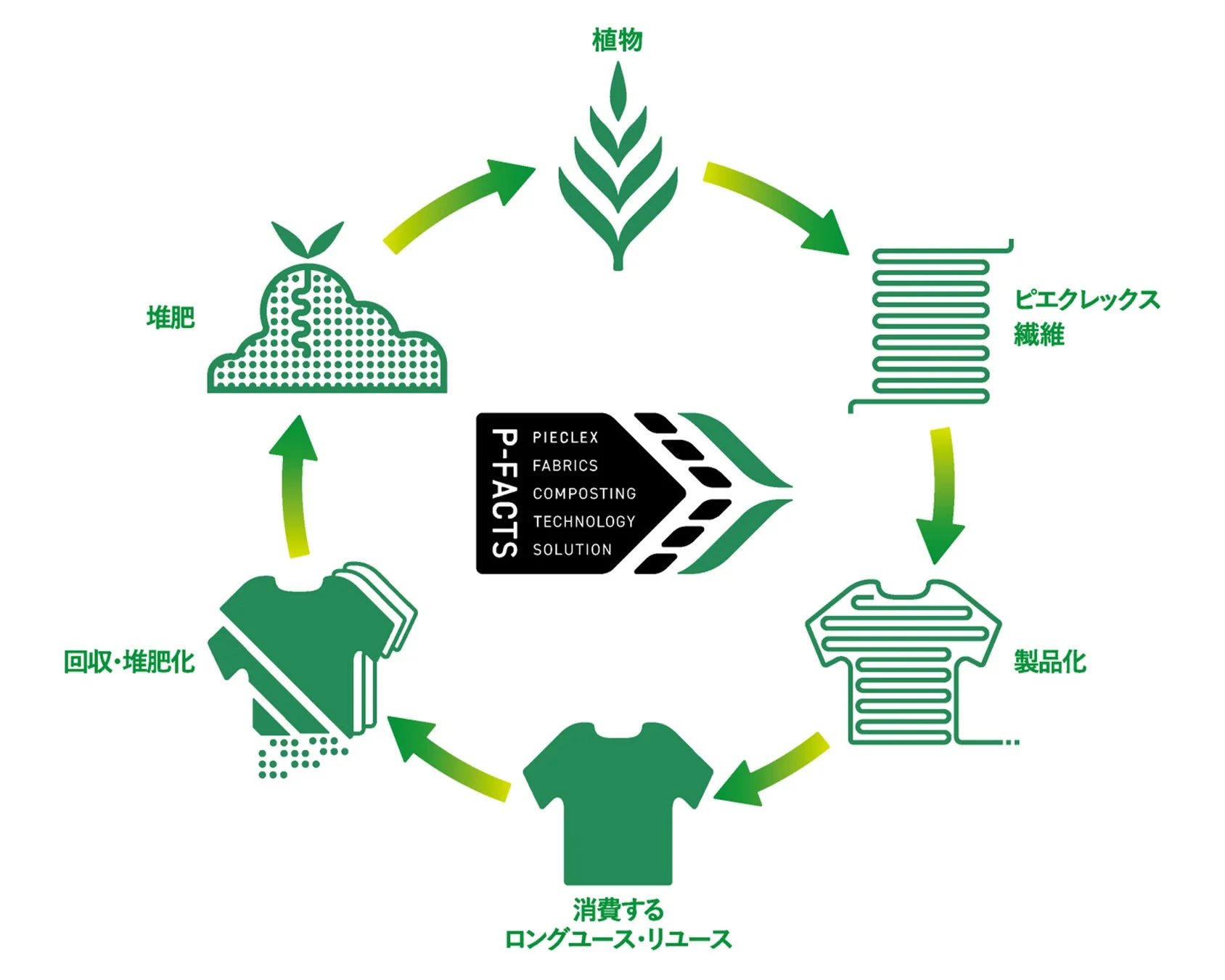 P-FACTSの循環モデル図