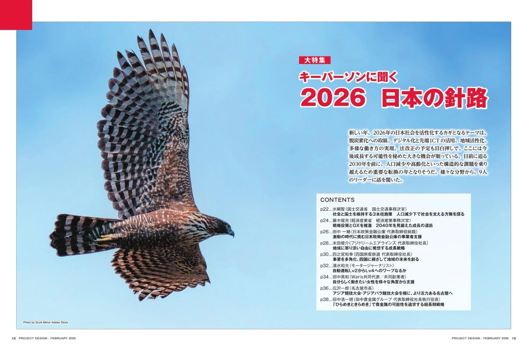 青空を飛ぶ猛禽類と特集記事の概要