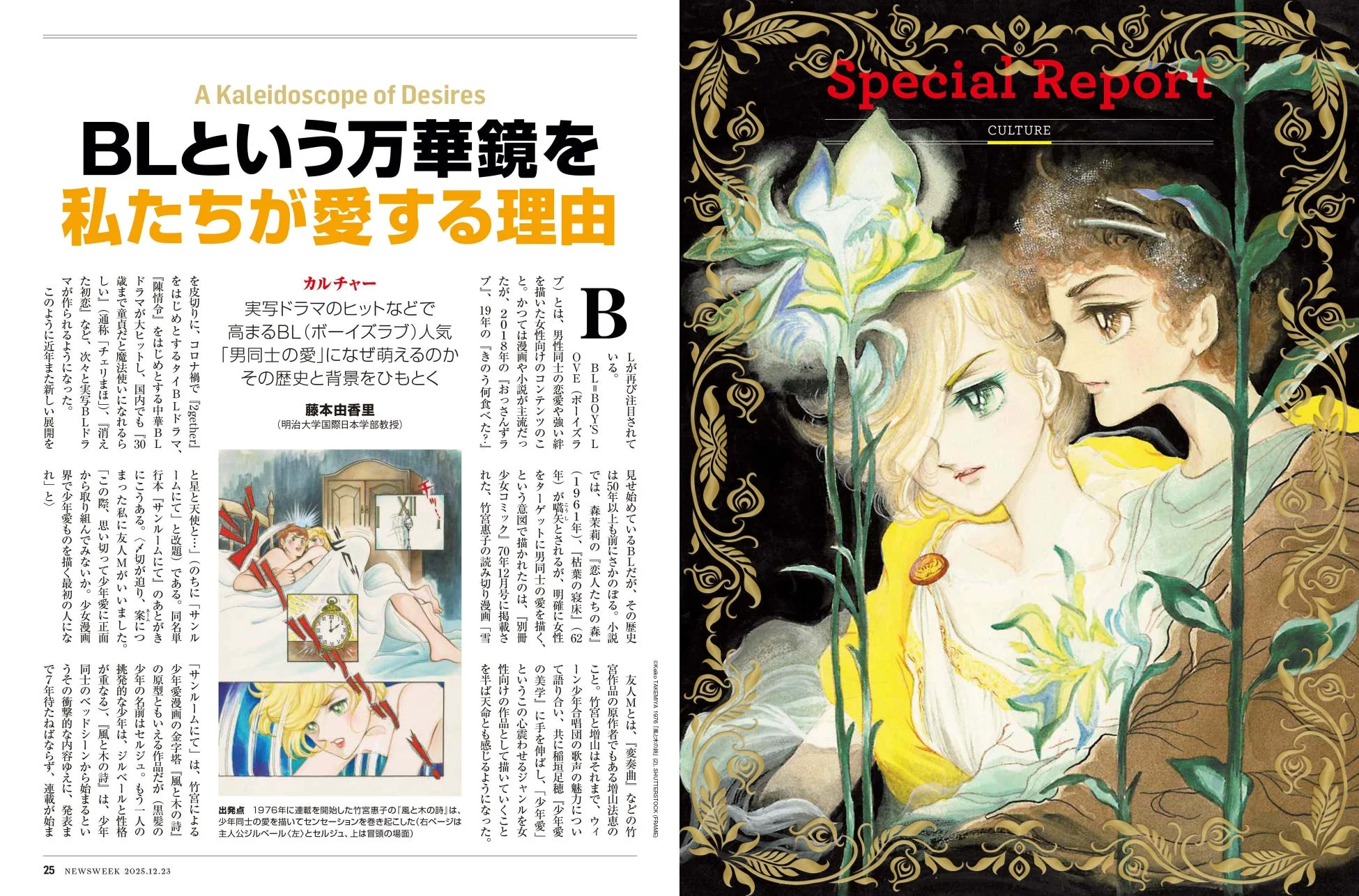 BL特集記事のイメージ