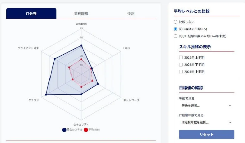 スキルレーダーチャート