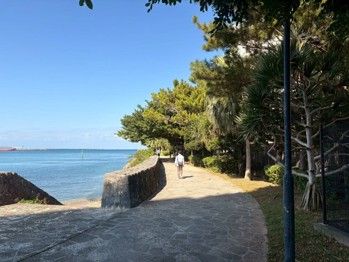 青い海と緑豊かな木々が広がる海岸沿いの遊歩道を、一人の人物が歩いている様子。