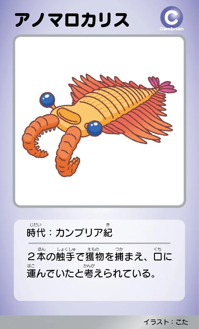 アノマロカリスのイラスト