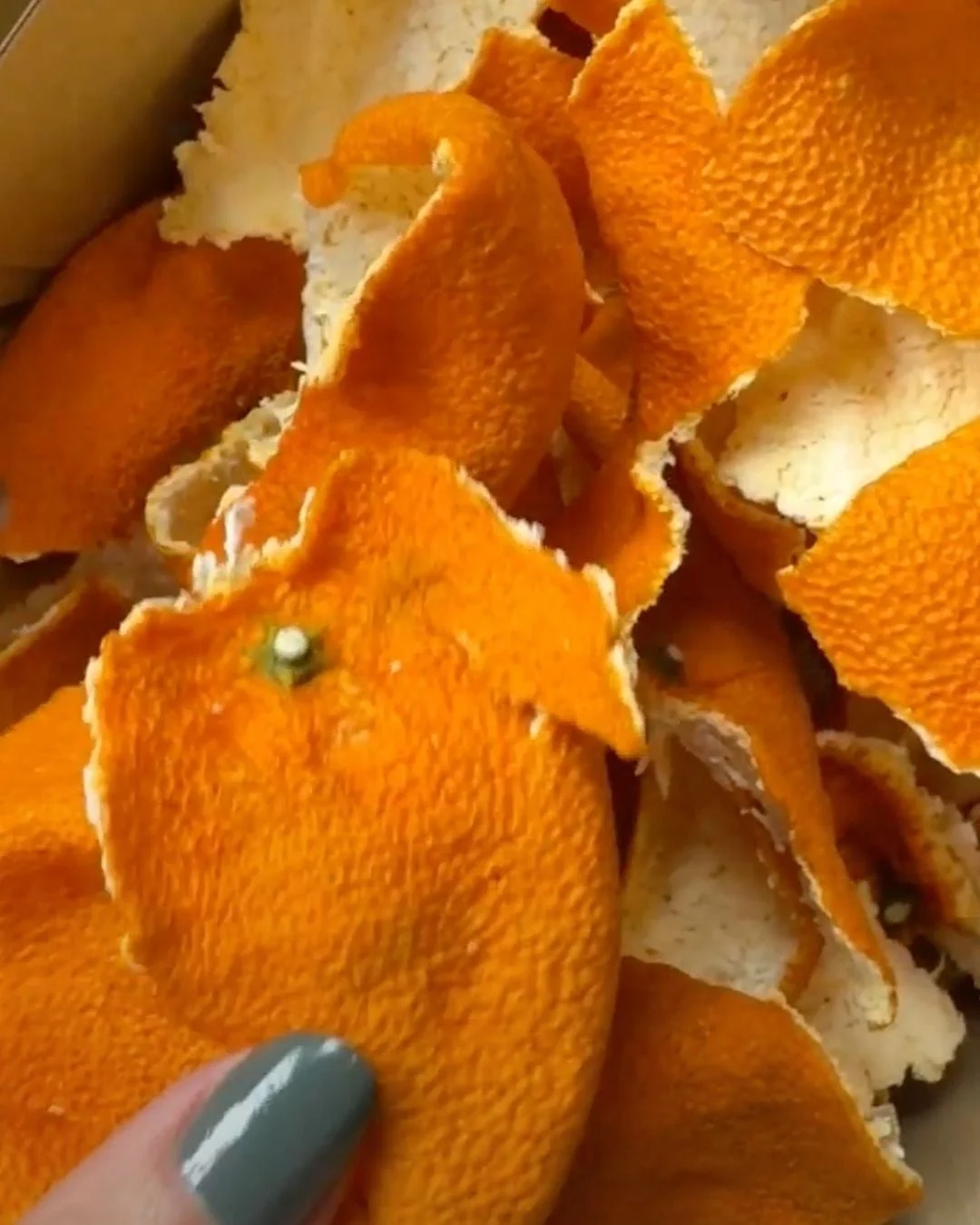 染料の一部となるみかんの果皮