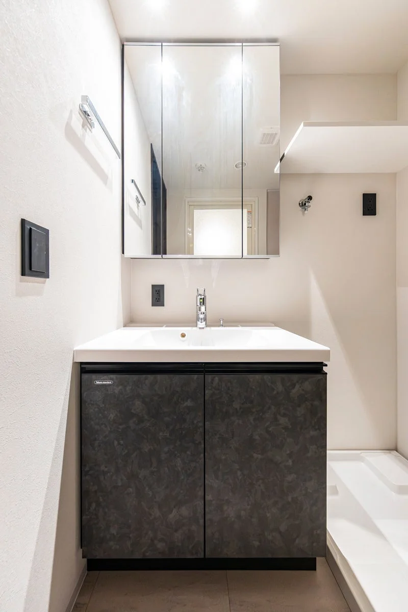 洗面台、洗面所、鏡、収納