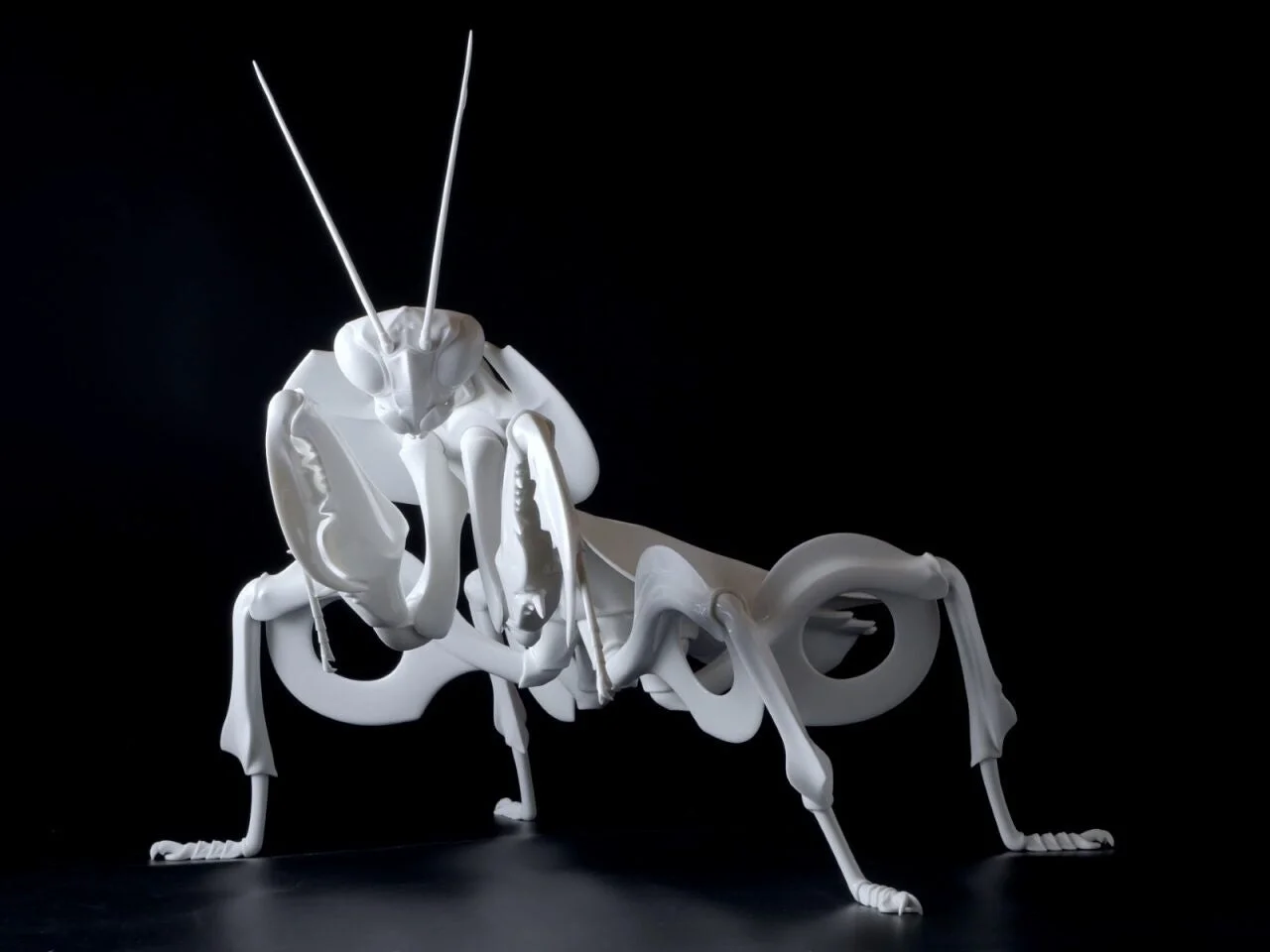 白いカマキリの3Dモデル