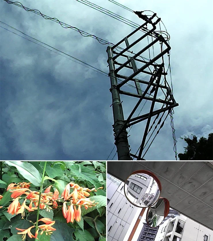 電柱と電線、曇り空、オレンジ色の花、そして街の建物を映すカーブミラー
