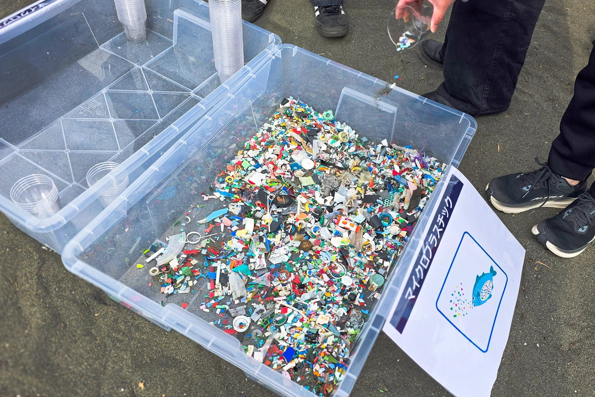 マイクロプラスチック