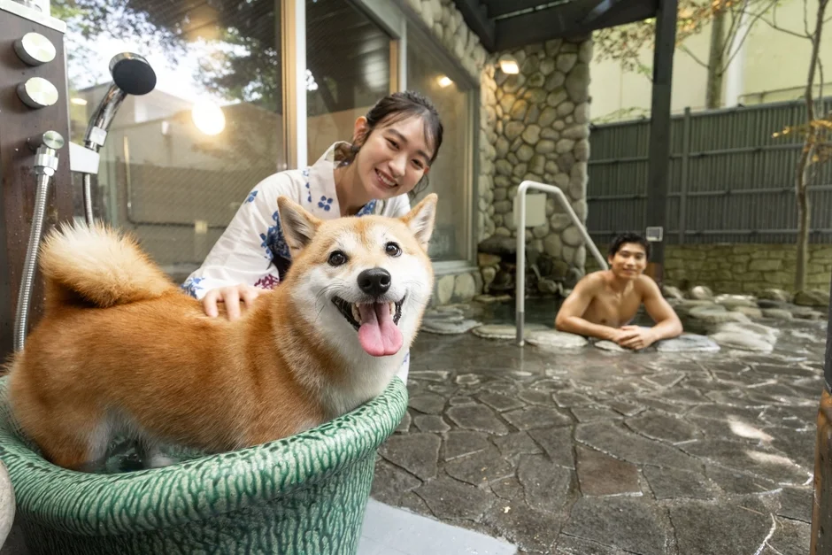 浴衣姿の女性が笑顔で柴犬を撫でており、その奥では男性が露天風呂に浸かっています。ペット同伴可能な日本の温泉宿での楽しいひとときを捉えた画像です。
