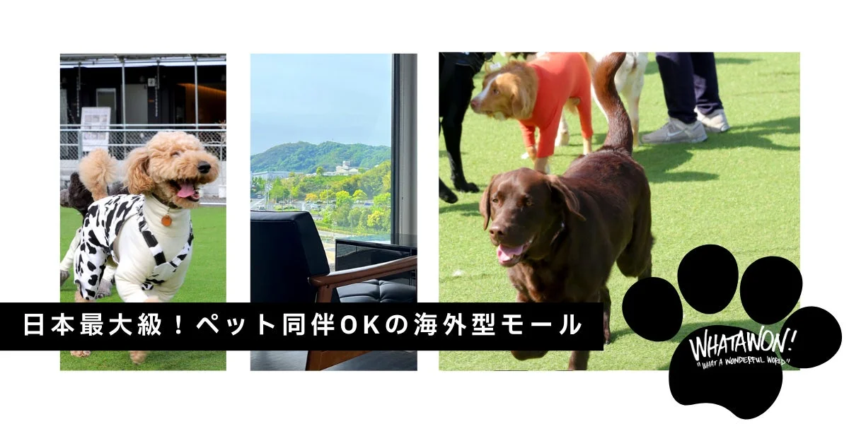 犬が芝生で遊ぶ様子とWHATAWONの施設風景