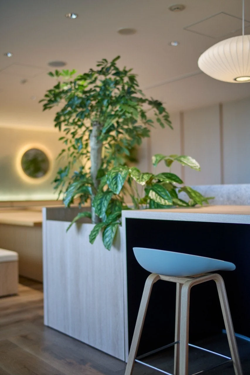 モダンなインテリアの室内空間で、大きな観葉植物とデザイン性の高いスツールが配置されています。天井からは特徴的な形の照明が吊るされ、落ち着いた雰囲気を醸し出しています。