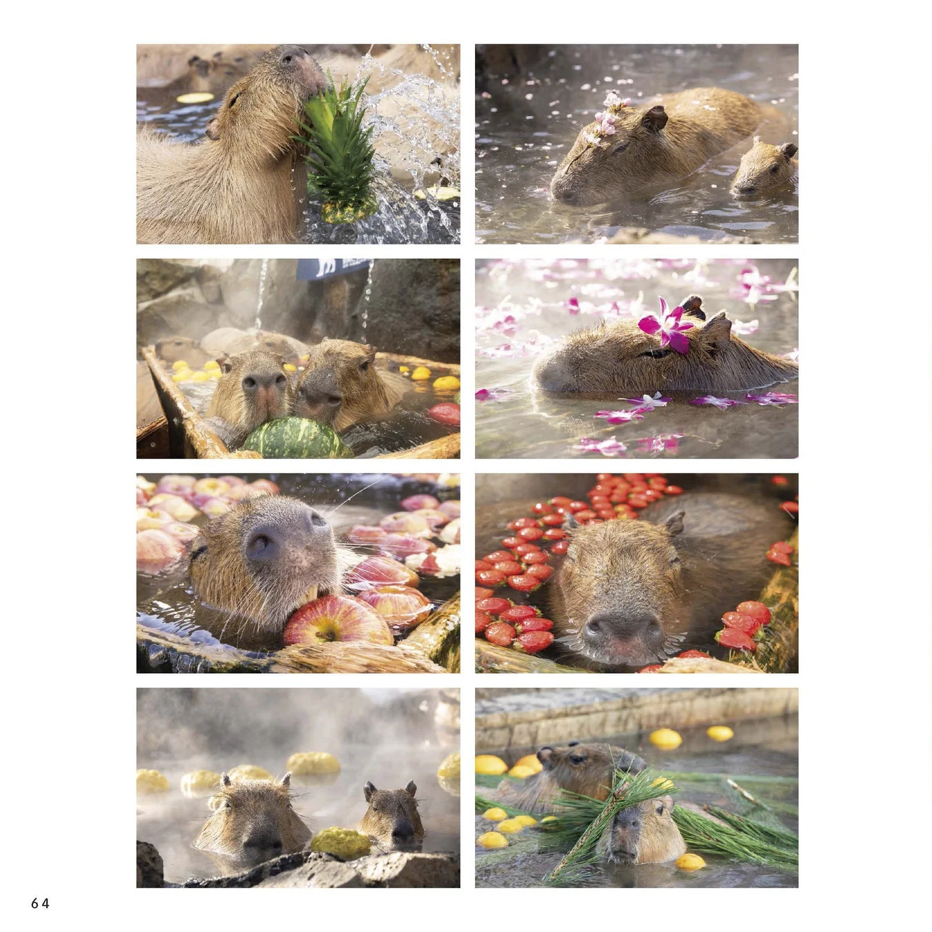 温泉を楽しむカピバラたちのコラージュ