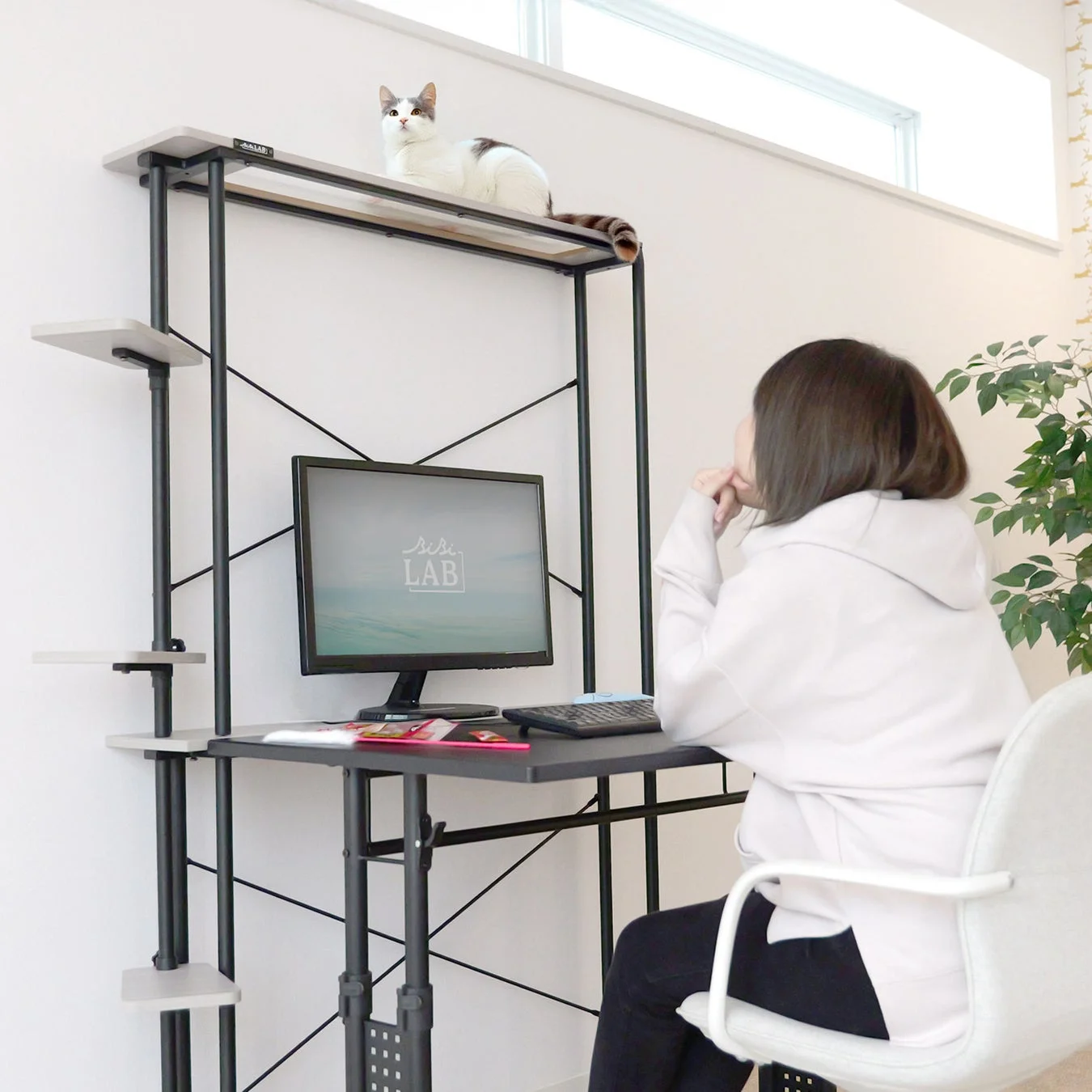 猫タワーラック LCR-1000