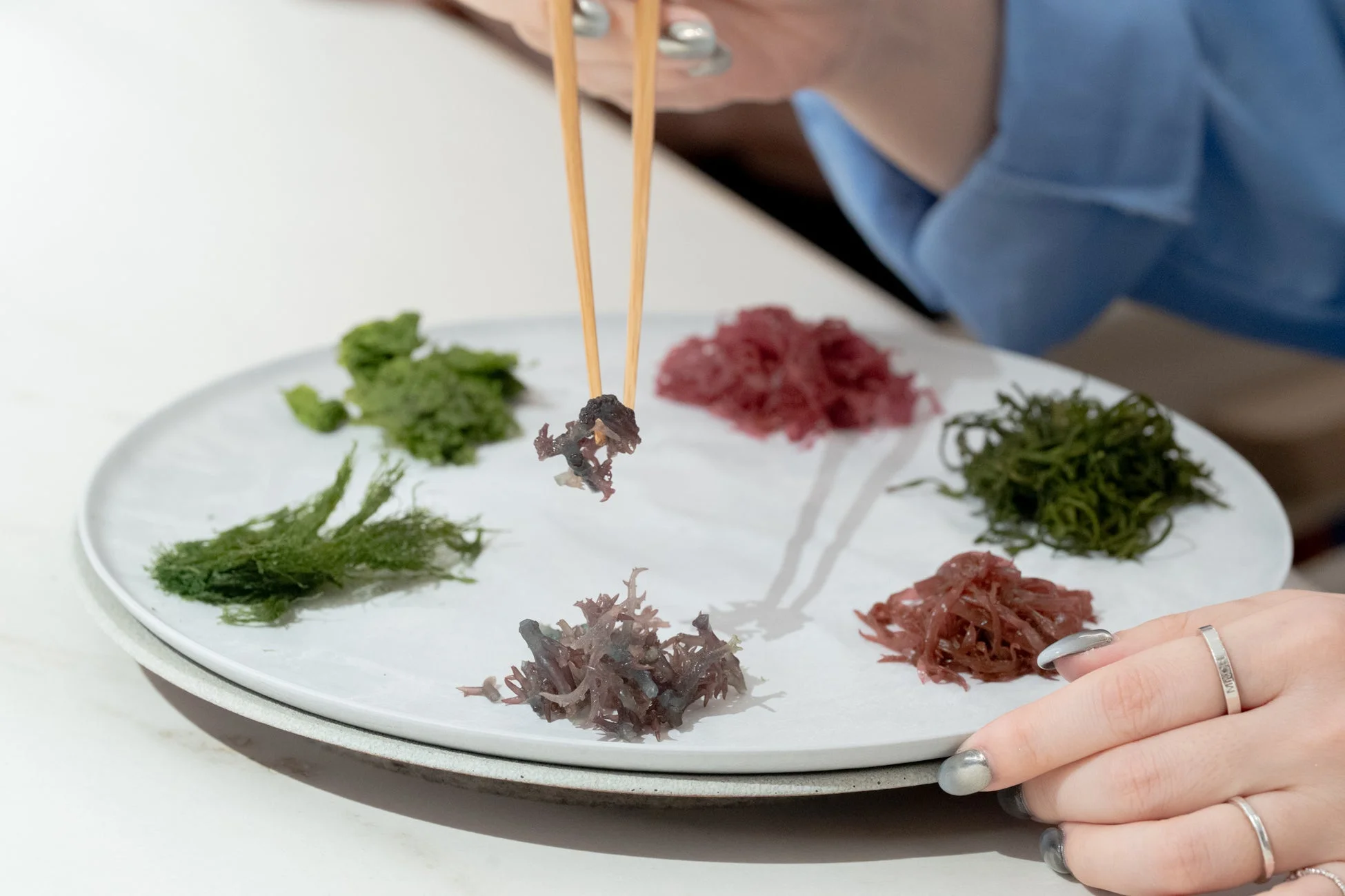 白い皿に盛られた数種類の海藻から、箸で一種類の海藻をつまんでいる様子