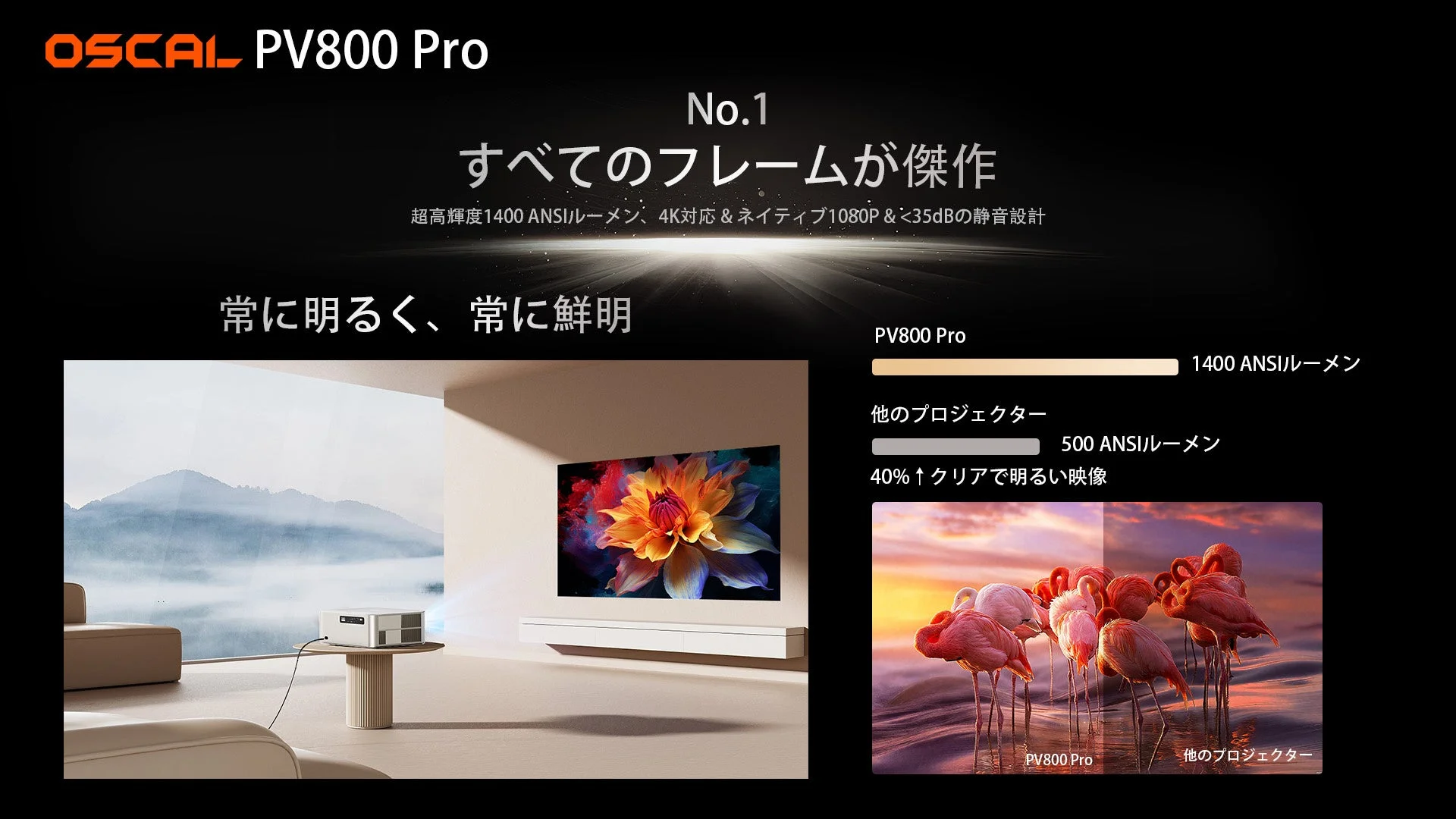 OSCAL PV800 Pro