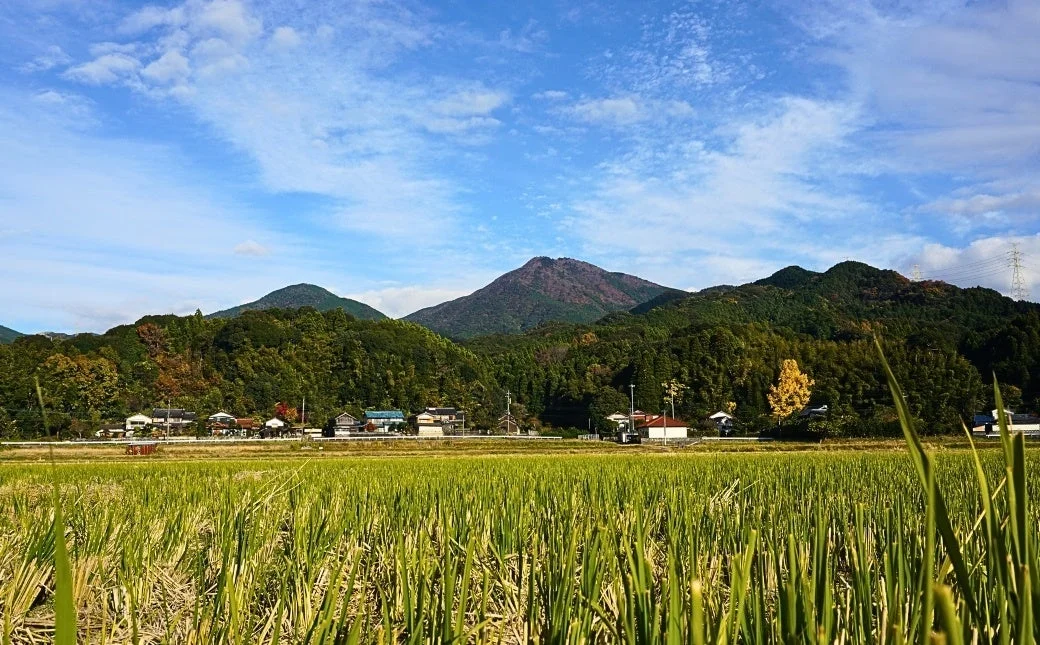 里山の集落と田んぼ
