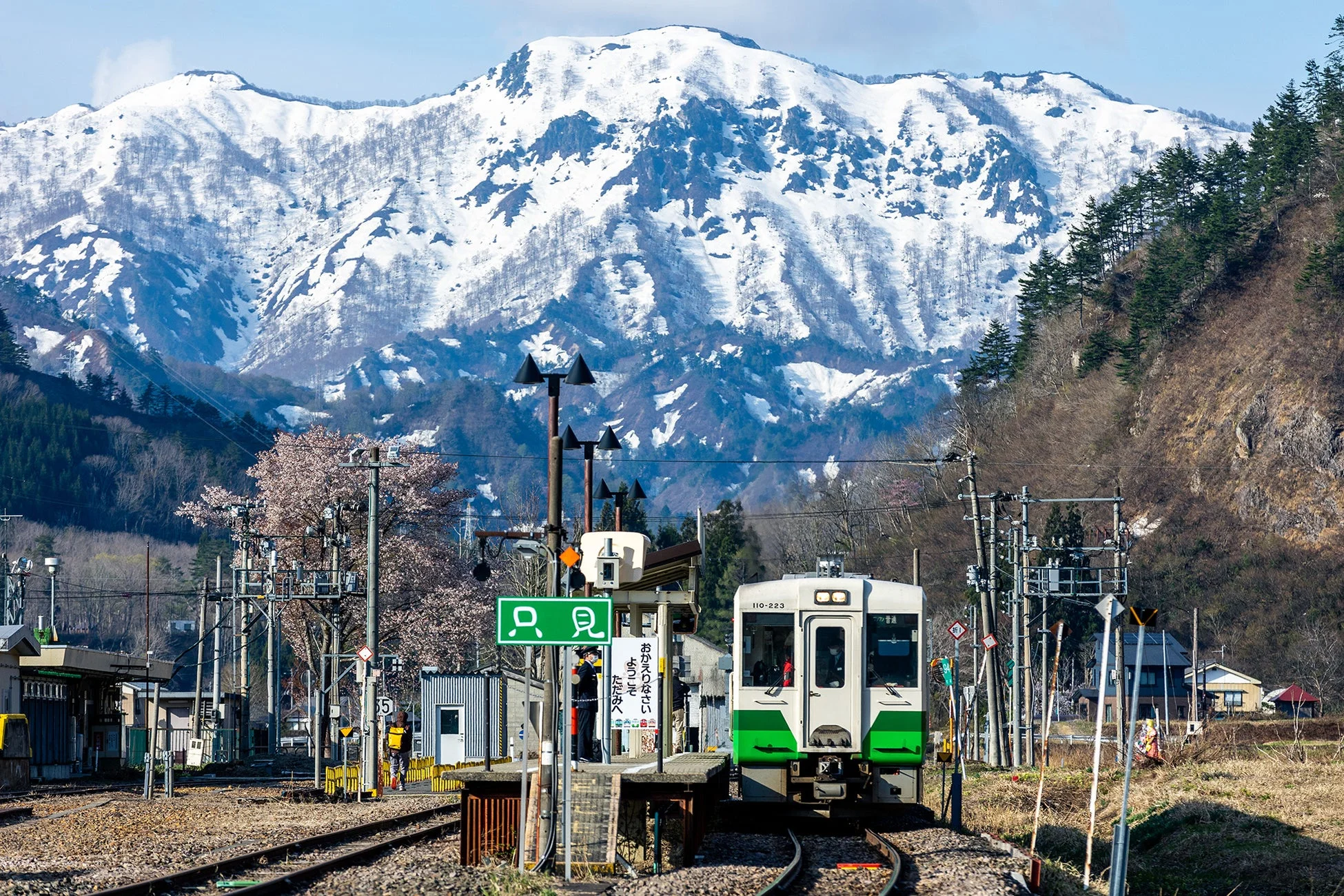 雪山を背景に桜が咲き誇る只見駅に停車中の列車