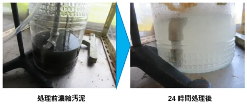 汚泥処理前後写真