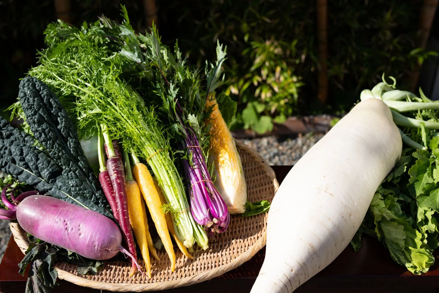 採れたて鎌倉野菜