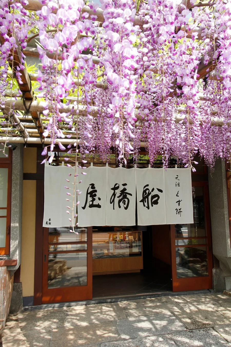 船橋屋の店舗と藤の花