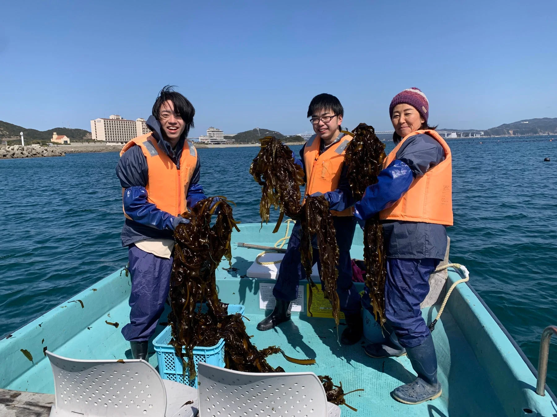 海藻収穫を楽しむ人々