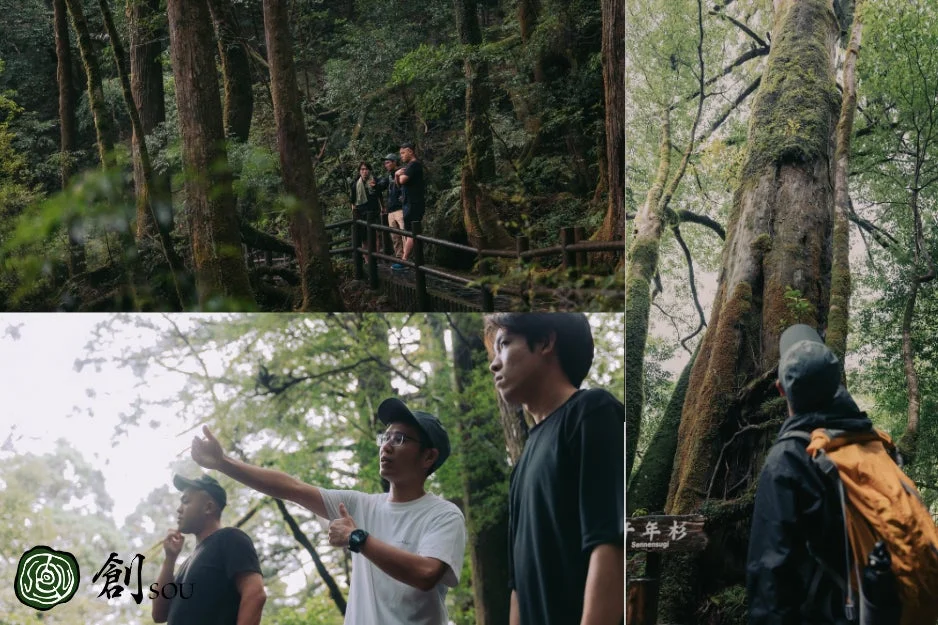 屋久島の原生林を歩く人々