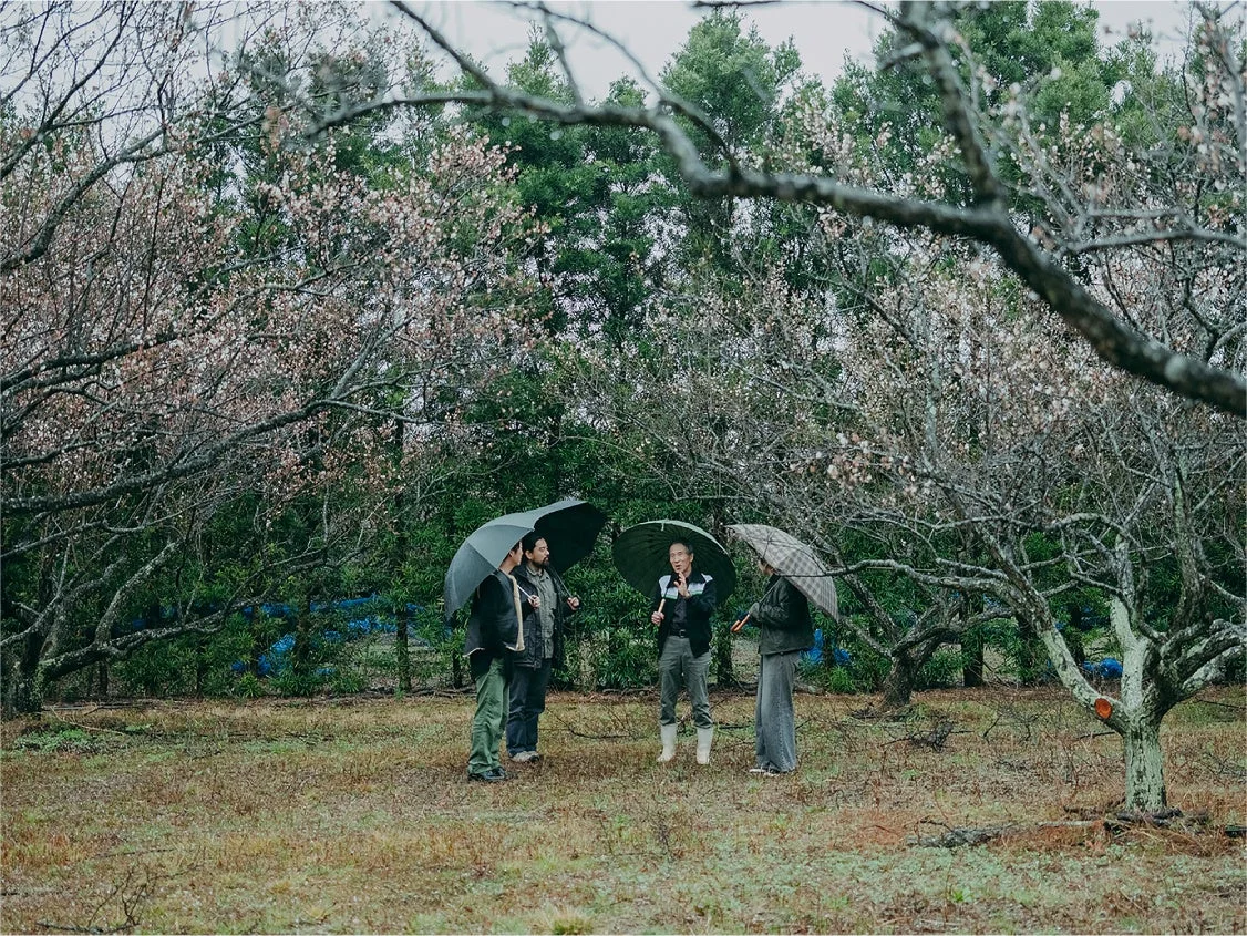 雨が降るか降った後の森で傘をさして立ち話をする人々