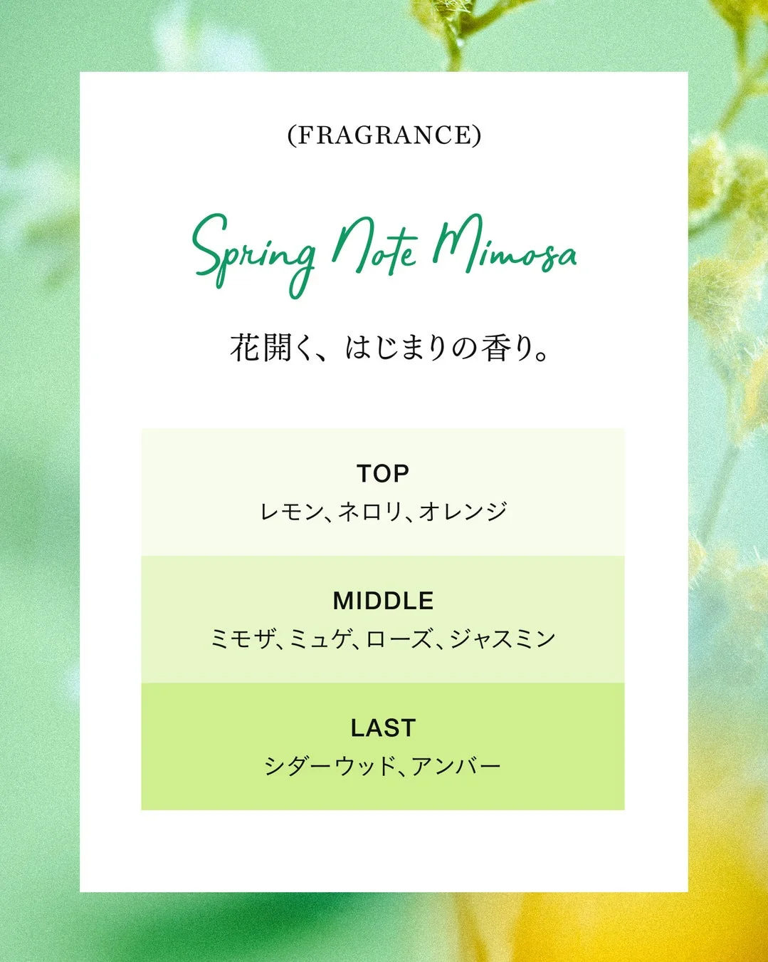 Spring Note Mimosaの香りのノート
