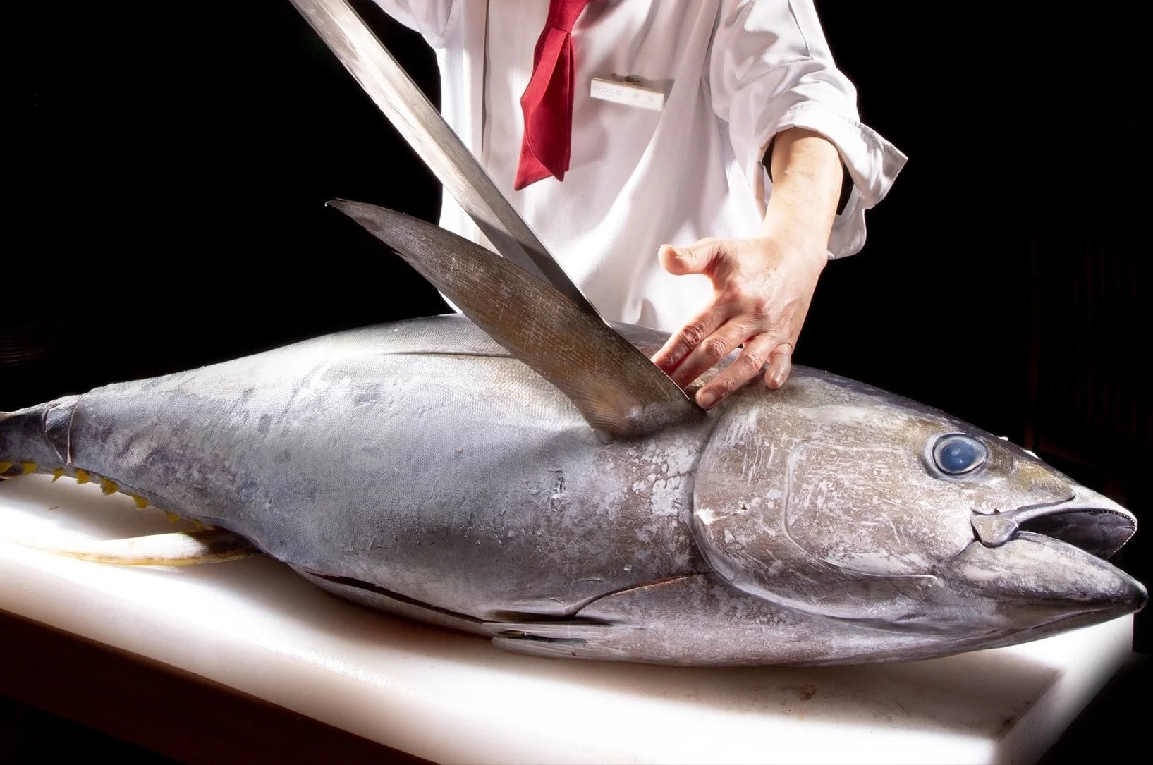 マグロ解体ショーの様子