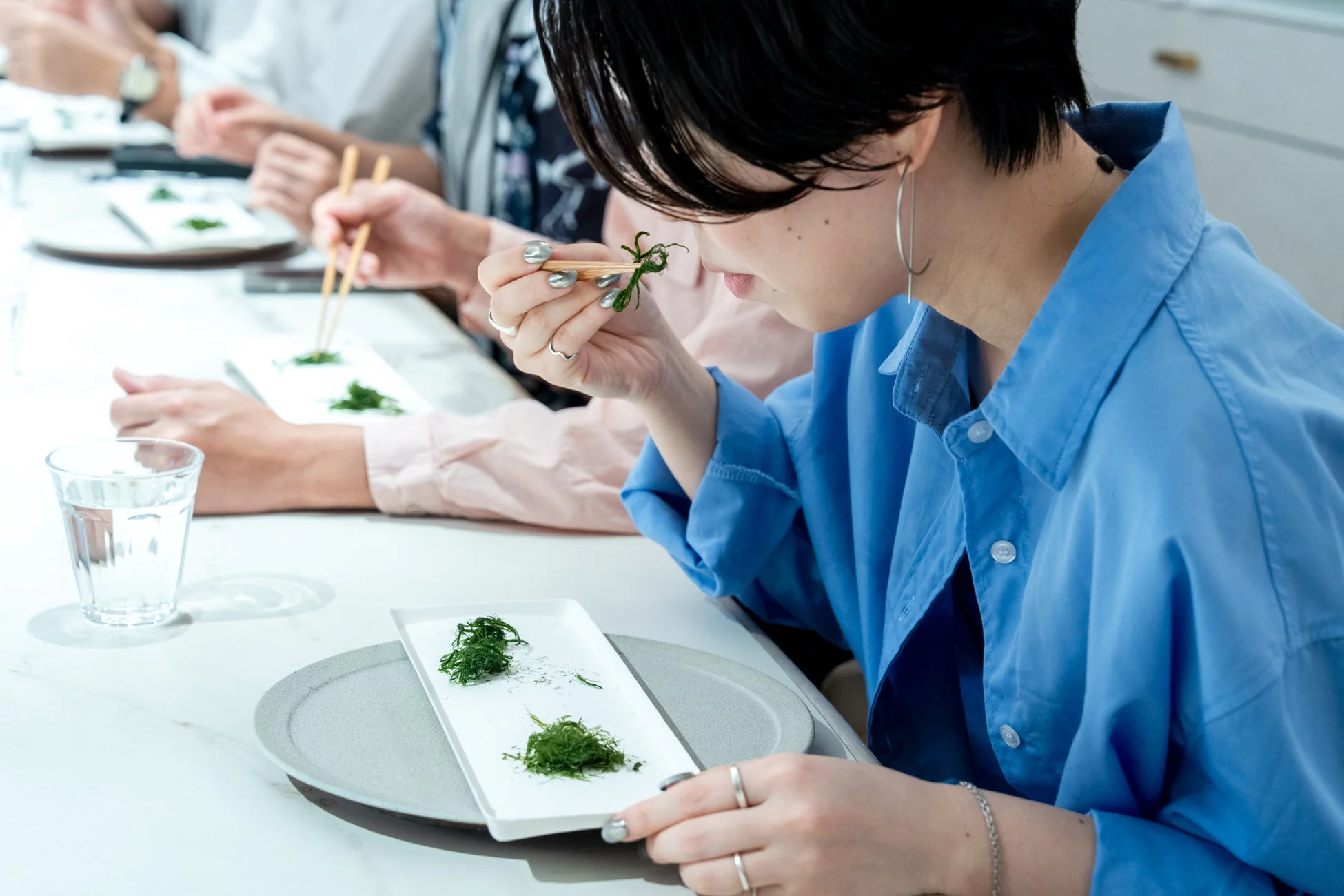 複数の人がテーブルを囲み、白い皿に盛られた緑色の食材を箸でつまんで試食している様子