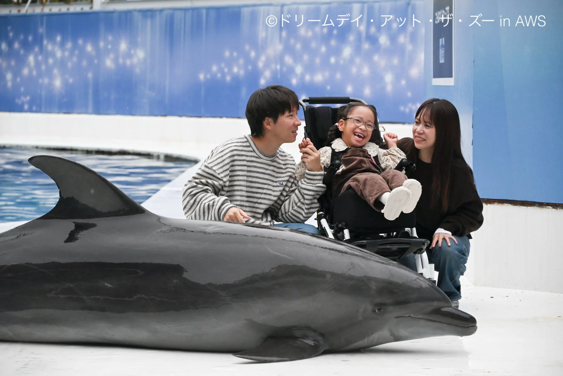 イルカと触れ合う子どもたち