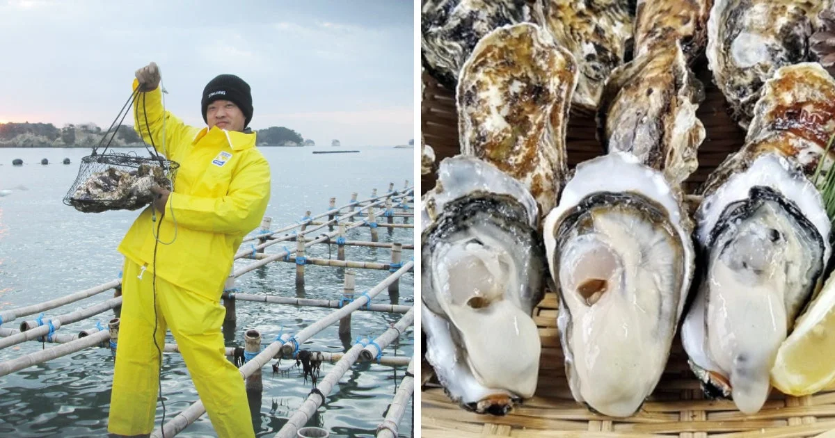 松島牡蠣屋の松島湾産牡蠣
