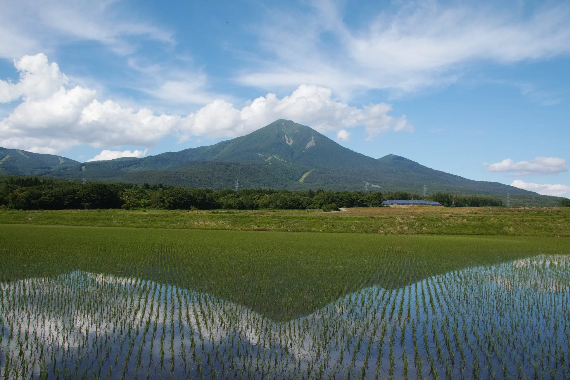 青い空と白い雲の下、緑豊かな山が手前の水田に鮮やかに映し出されています